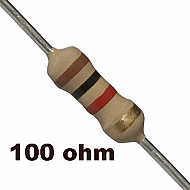 100 ohm Resistor