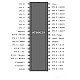 AT89C51 Microcontroller IC - ICs - Integrated Circuits & Chips - Core Electronics