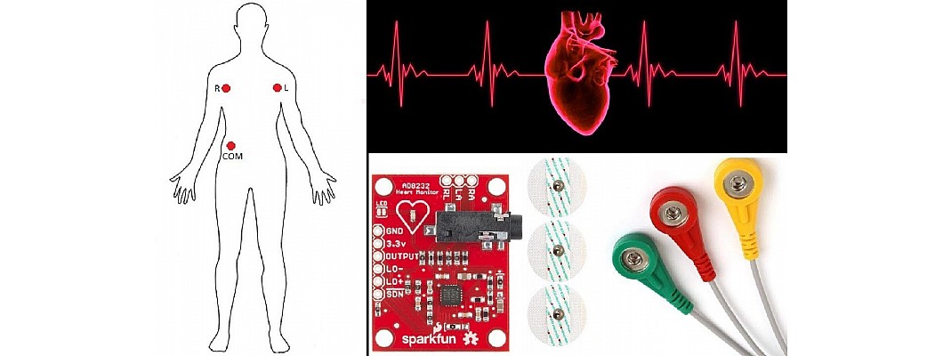 Build an ECG with Arduino