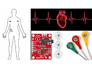 Build an ECG with Arduino