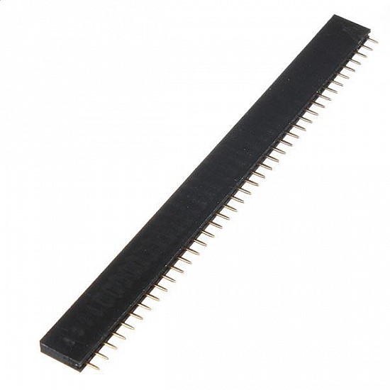 2.54mm Pitch Female Burg Strip 40 pin -- Other - Arduino