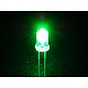 Green LED 5mm Pack Of 20  (Light Emitting Diod) - Other -