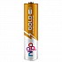 Nippo Battery AAA Gold 15V 4DG