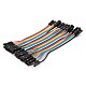 20cm Female To Female Jumper Cable Wire For Arduino - 10pcs - Other - Arduino