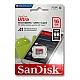 SanDisk 16GB Class 10 Micro SD/SDHC Memory Card