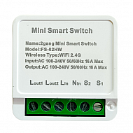 2 Channel Smart Wireless WIFI 16A Switch Work with Alexa , Smart life app, Google home and IFTTT (Tuya)