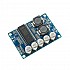 TDA8932 35W Mono Low Power Amplifier Module