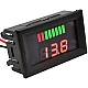 Waterproof 12V-60V Universal Battery Capacity & Voltmeter - Red Display
