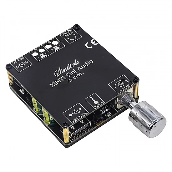  HIFI AUX TPA3116 XINYI Sini Audio 2*100W Digital Power Amplifier Board XY-C100L