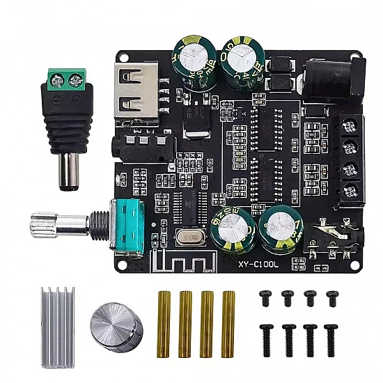  HIFI AUX TPA3116 XINYI Sini Audio 2*100W Digital Power Amplifier Board XY-C100L