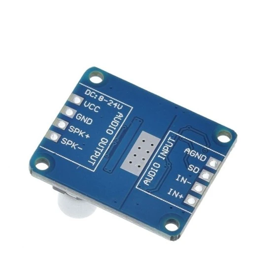 DY-AP3001 30W Mono Class D Digital Amplifier Board