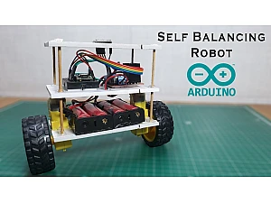 Self balancing robot