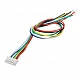 Dual Head 6 Pin JST-XH 1.25mm Wire