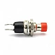 PBS-110 Push Button Switch Press Through - Red