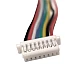 Dual Head 8 Pin JST-XH 1.25mm Wire