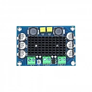 XH-M542 TPA3116D2 Mono 100W Digital Power Amplifier Board - Compatible Chip