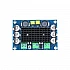 XH-M542 TPA3116D2 Mono 100W Digital Power Amplifier Board - Compatible Chip