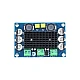 XH-M542 TPA3116D2 Mono 100W Digital Power Amplifier Board Compatible Chip